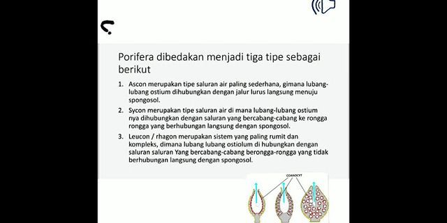 Detail Daftar Gambar Bercabang Nomer 54