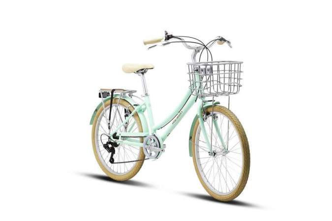 Detail Daftar Harga Sepeda Wimcycle Dan Gambarnya Nomer 22