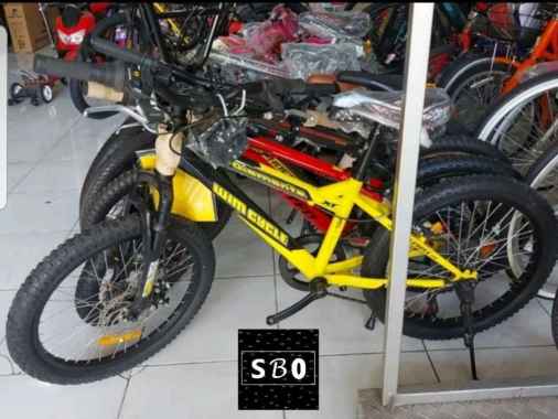 Detail Daftar Harga Sepeda Wimcycle Dan Gambarnya Nomer 9