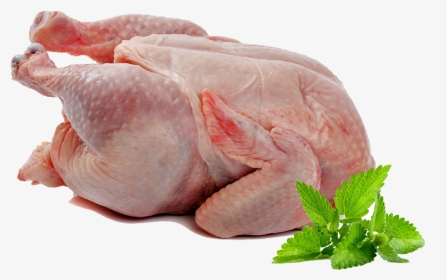 Detail Daging Ayam Png Nomer 21