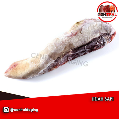 Detail Daging Lidah Sapi Nomer 25