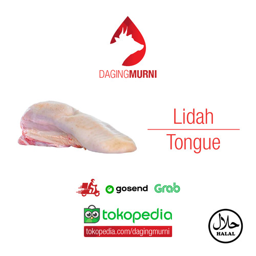 Detail Daging Lidah Sapi Nomer 41