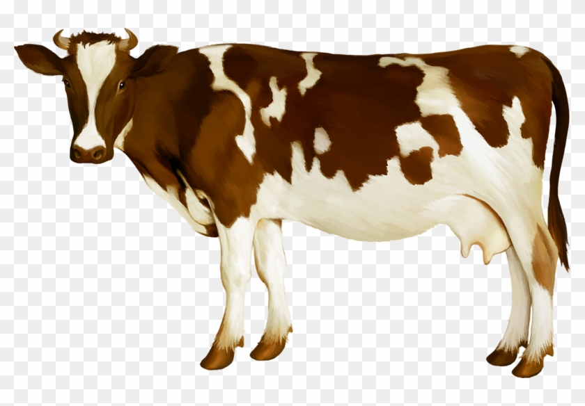 Detail Dairy Cow Png Nomer 19