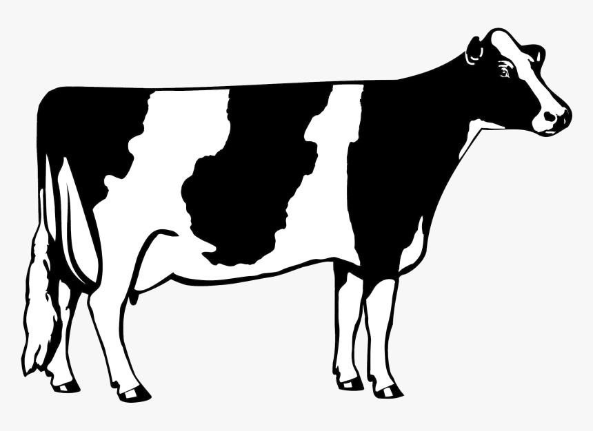 Detail Dairy Cow Png Nomer 28