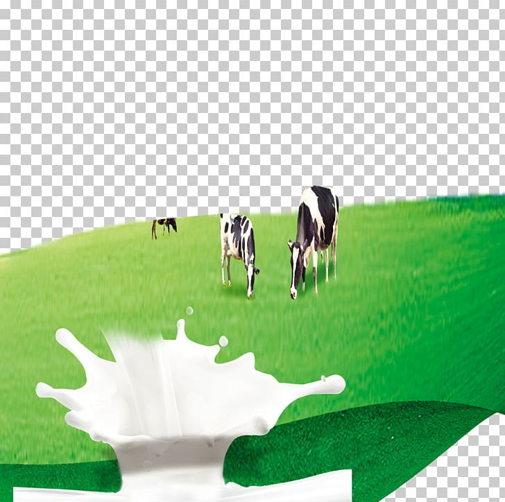 Detail Dairy Cow Png Nomer 32