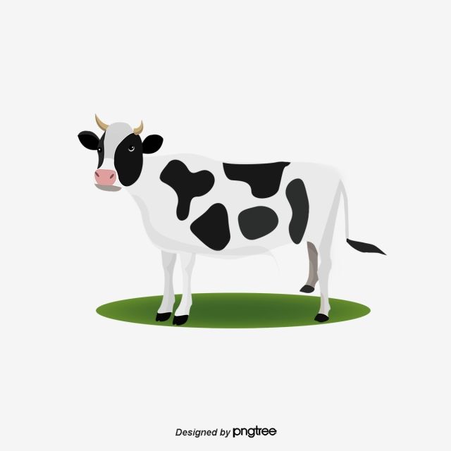 Detail Dairy Cow Png Nomer 33