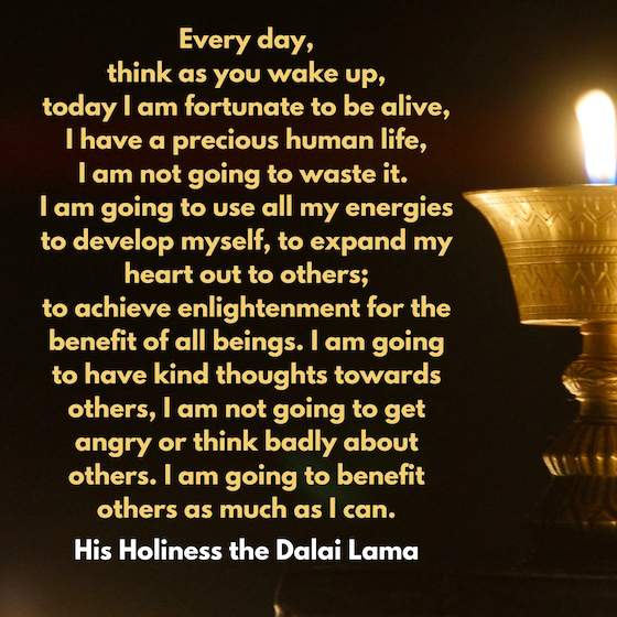 Detail Dalai Lama Quotes Never Give Up Nomer 17