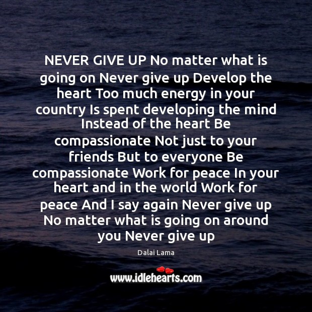 Detail Dalai Lama Quotes Never Give Up Nomer 42