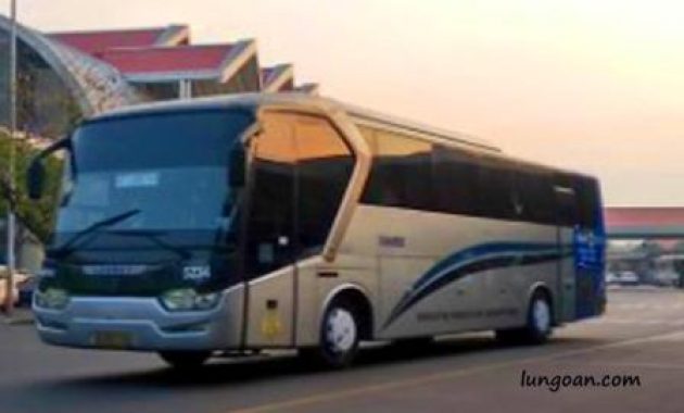 Detail Damri Dari Bandara Soekarno Hatta Ke Depok Nomer 14