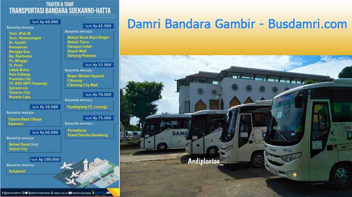 Detail Damri Dari Bandara Soekarno Hatta Ke Depok Nomer 50