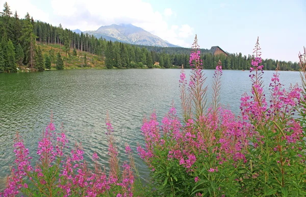 Detail Danau Di Pegunungan Nomer 51