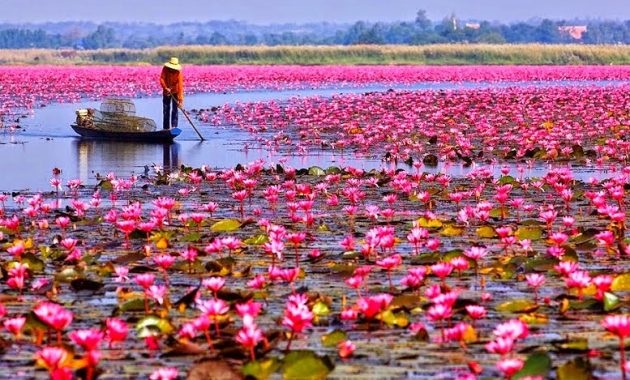 Detail Danau Di Thailand Nomer 2