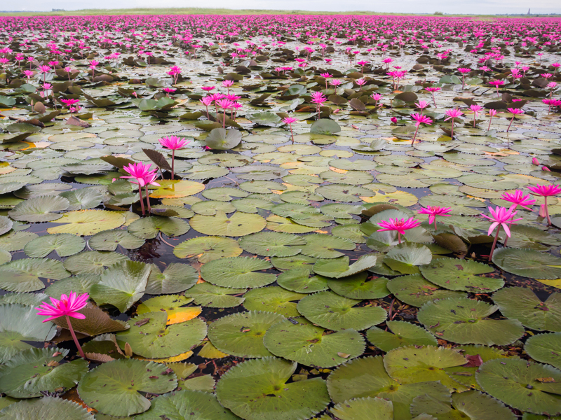 Detail Danau Di Thailand Nomer 15