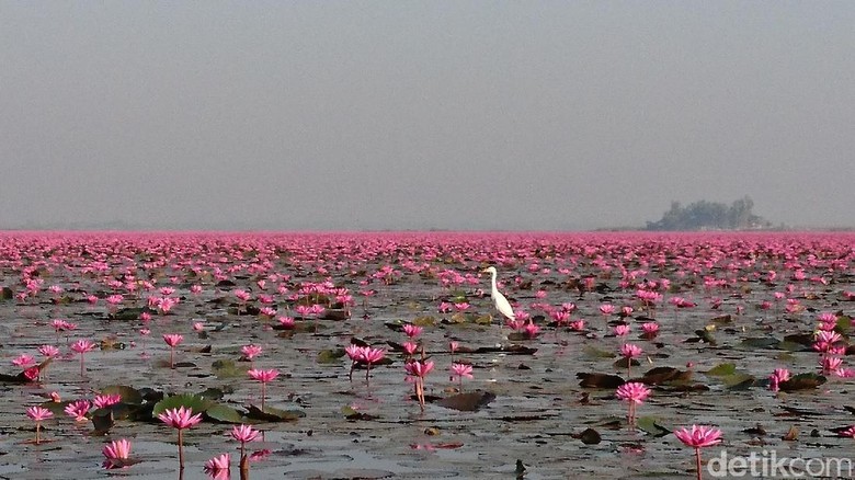 Detail Danau Di Thailand Nomer 21