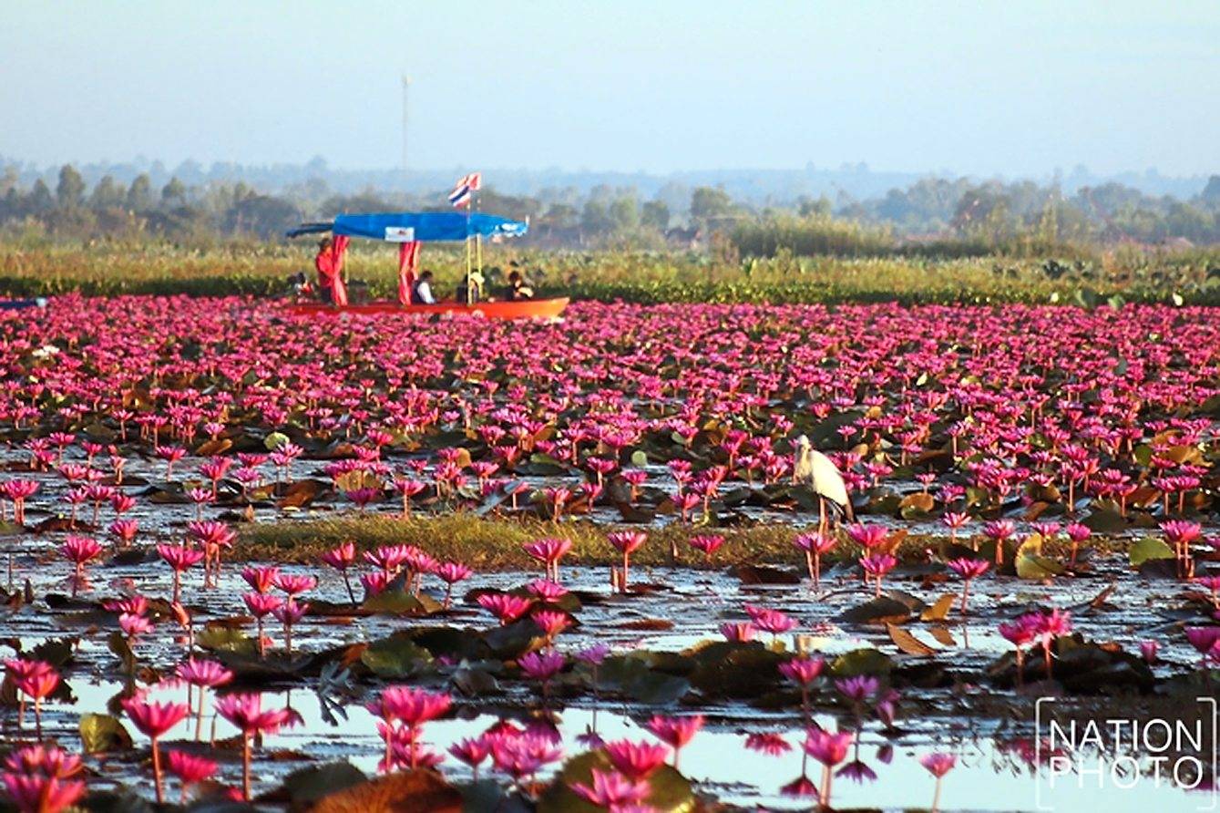 Detail Danau Di Thailand Nomer 47