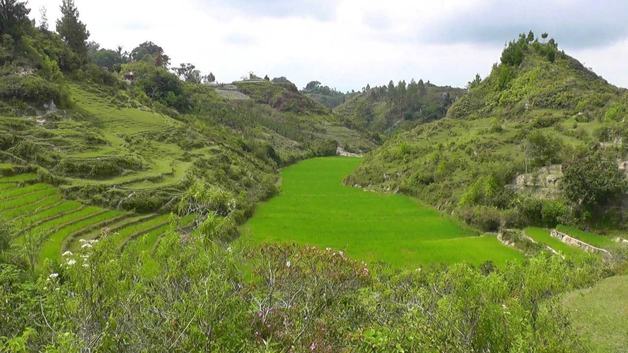 Detail Danau Toba Hd Nomer 48