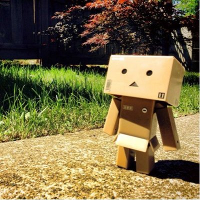 Detail Danbo Bergerak Gif Nomer 43