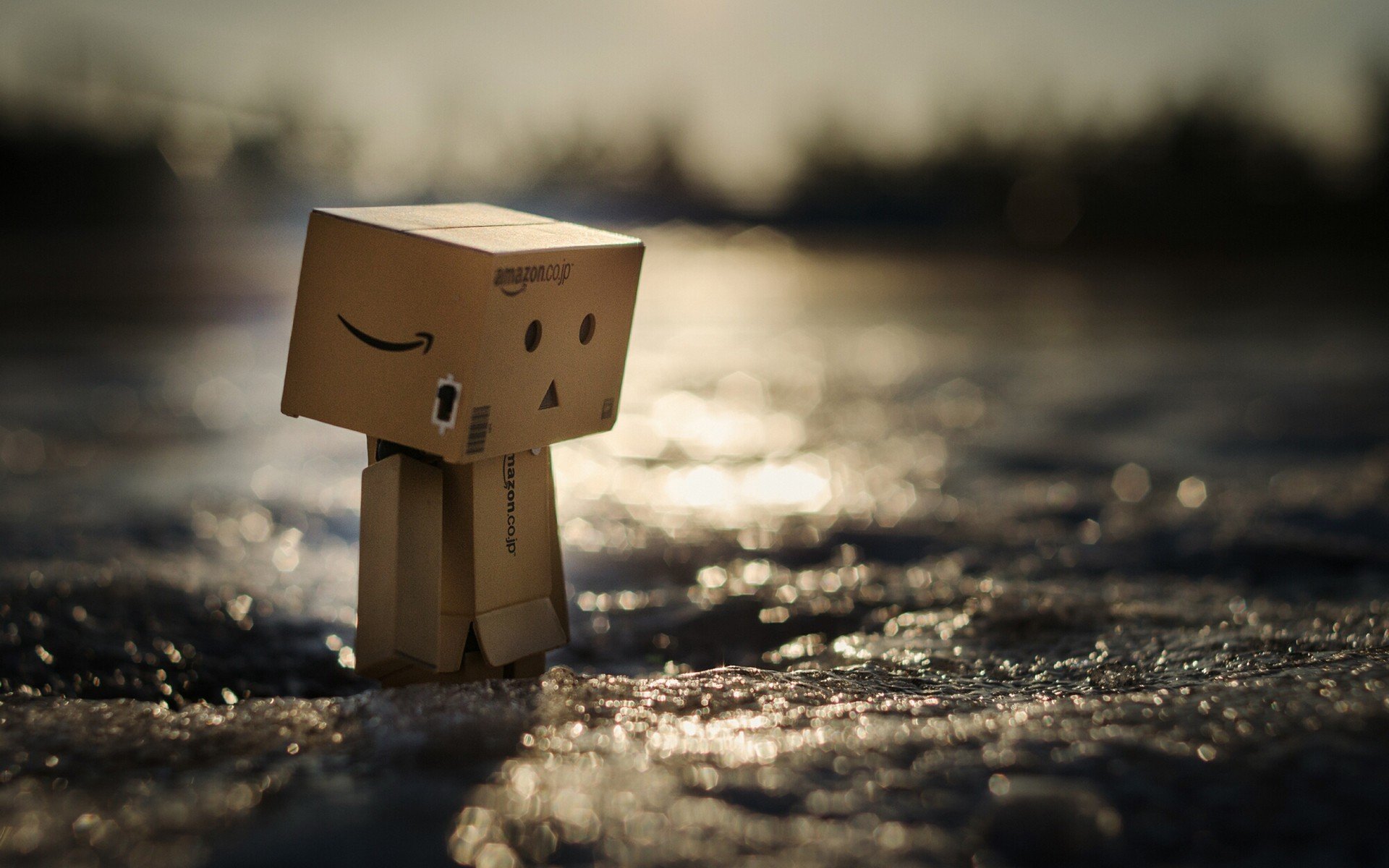 Detail Danbo Galau Nomer 26