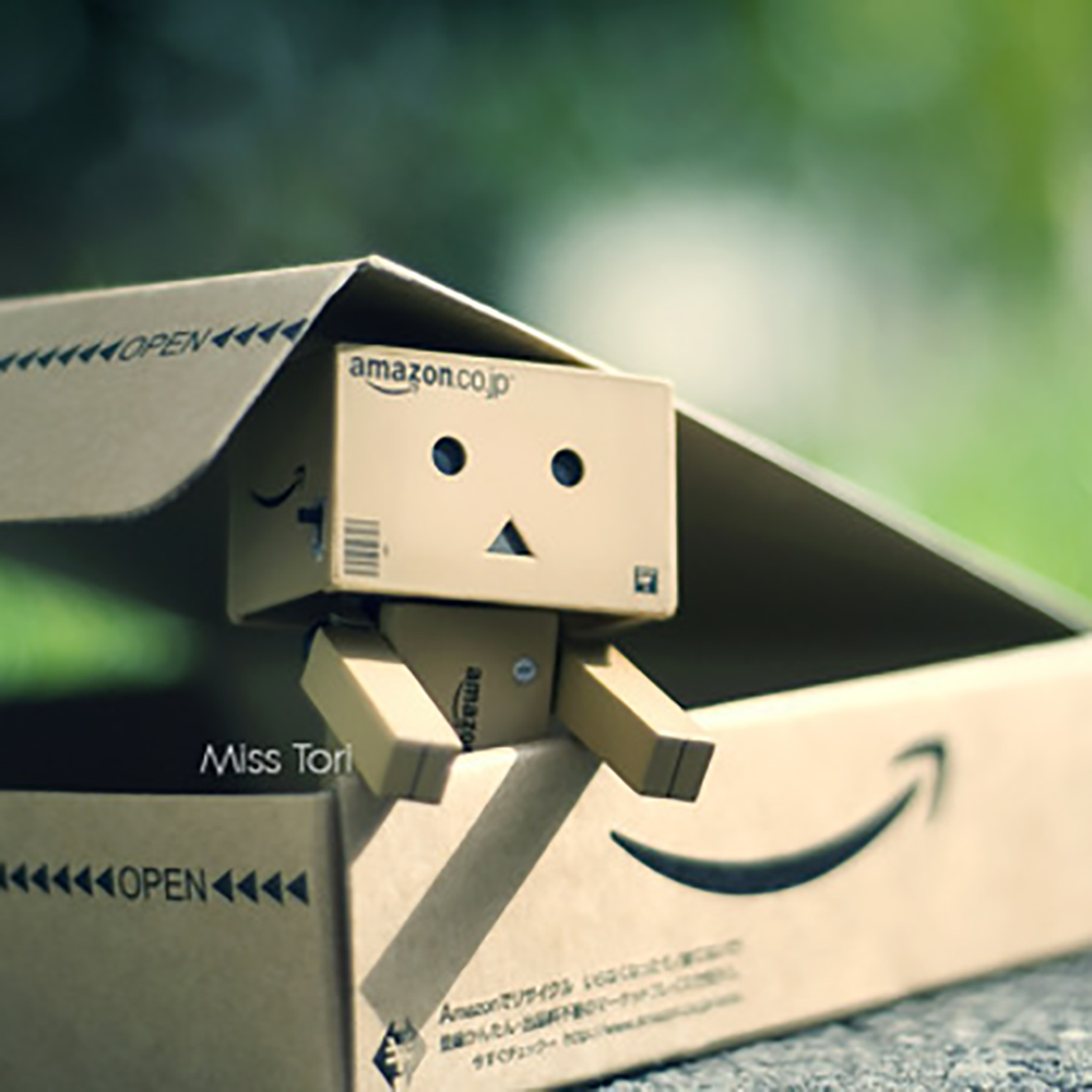 Detail Danbo Gantung Diri Nomer 51