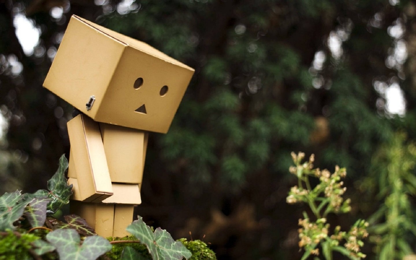 Detail Danbo Kata Kata Mutiara Nomer 46