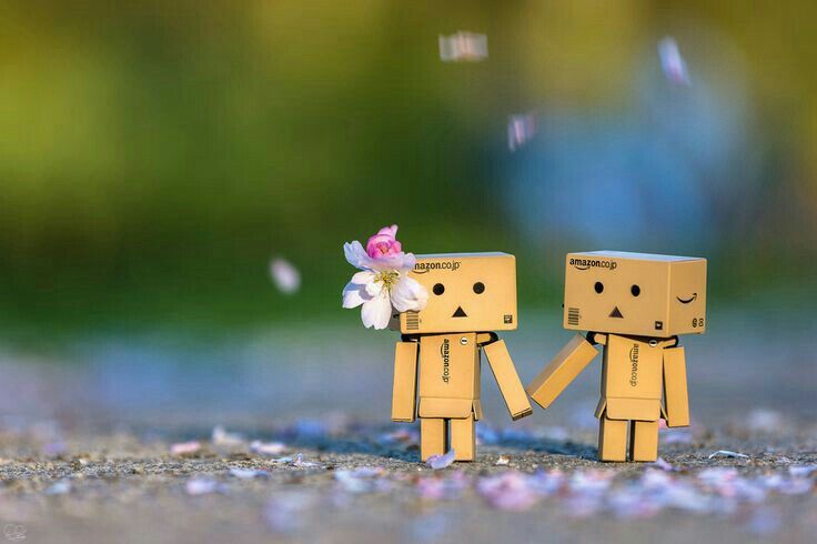 Detail Danbo Lucu Dan Imut Nomer 23