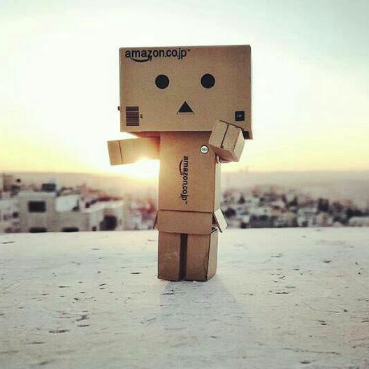 Detail Danbo Lucu Dan Imut Nomer 51