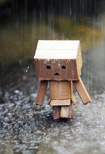 Detail Danbo Pasangan Nomer 45