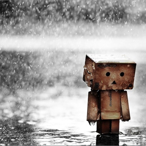 Detail Danbo Rain Nomer 2