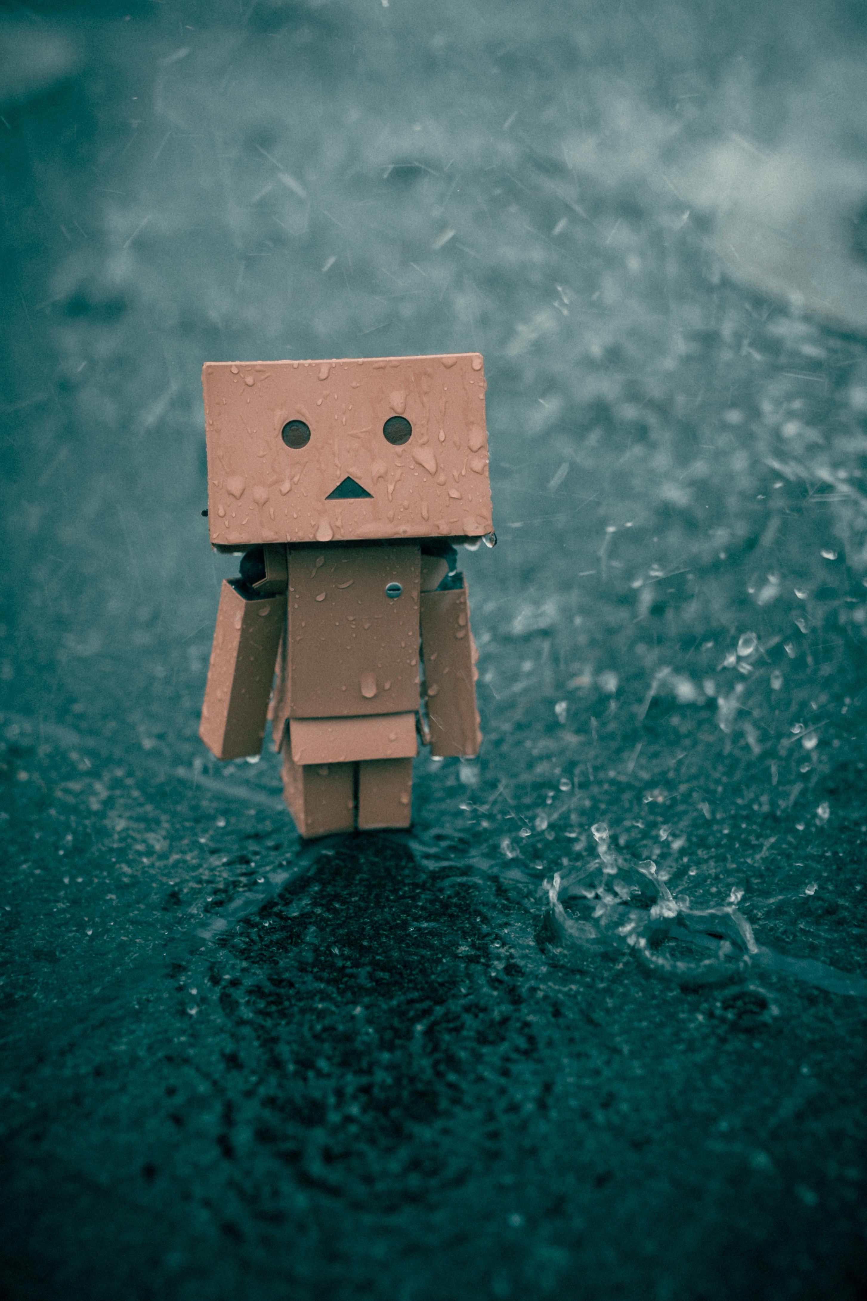 Detail Danbo Rain Nomer 13