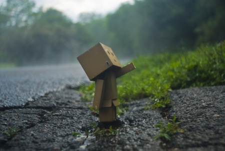 Detail Danbo Rain Nomer 22