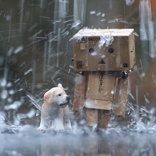 Detail Danbo Rain Nomer 25