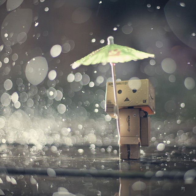 Detail Danbo Rain Nomer 27