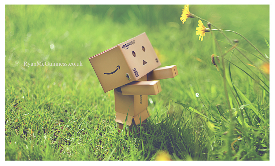 Detail Danbo Rain Nomer 37