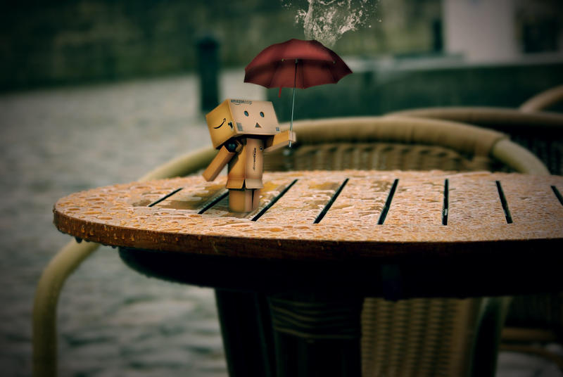 Detail Danbo Rain Nomer 38