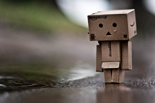 Detail Danbo Rain Nomer 48