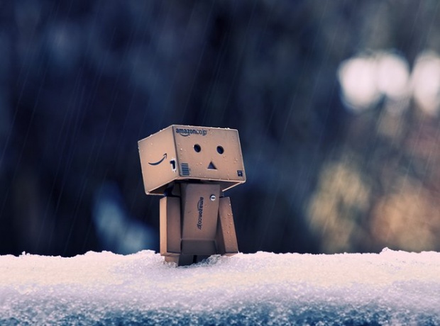 Detail Danbo Rain Nomer 53