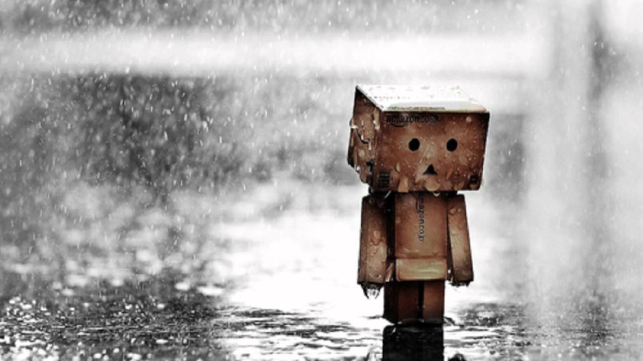 Detail Danbo Rain Nomer 7