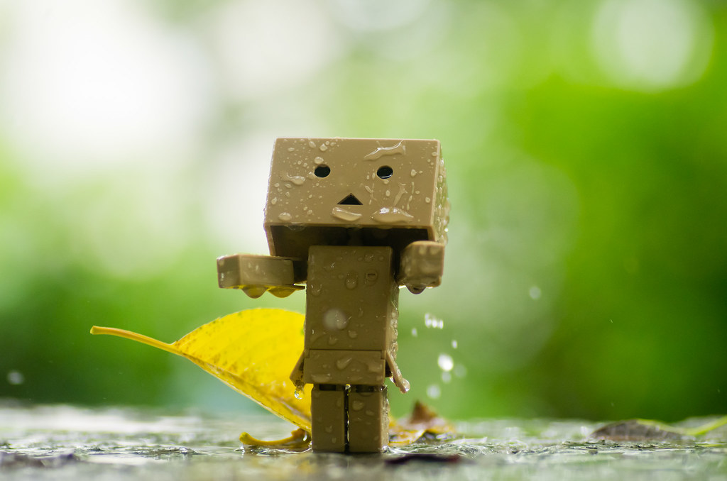 Detail Danbo Rain Nomer 8