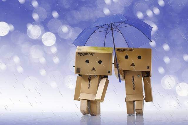 Detail Danbo Romantis Nomer 12