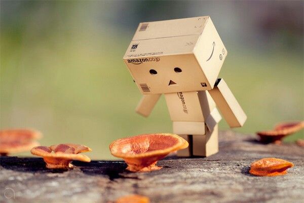 Detail Danbo Romantis Nomer 56