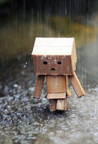 Detail Danbo Sedih Nomer 5