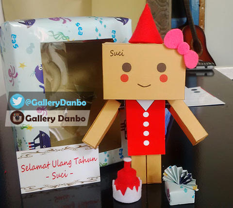 Detail Danbo Ulang Tahun Nomer 17