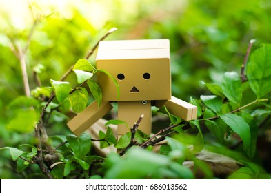 Detail Danbo Vector Nomer 39