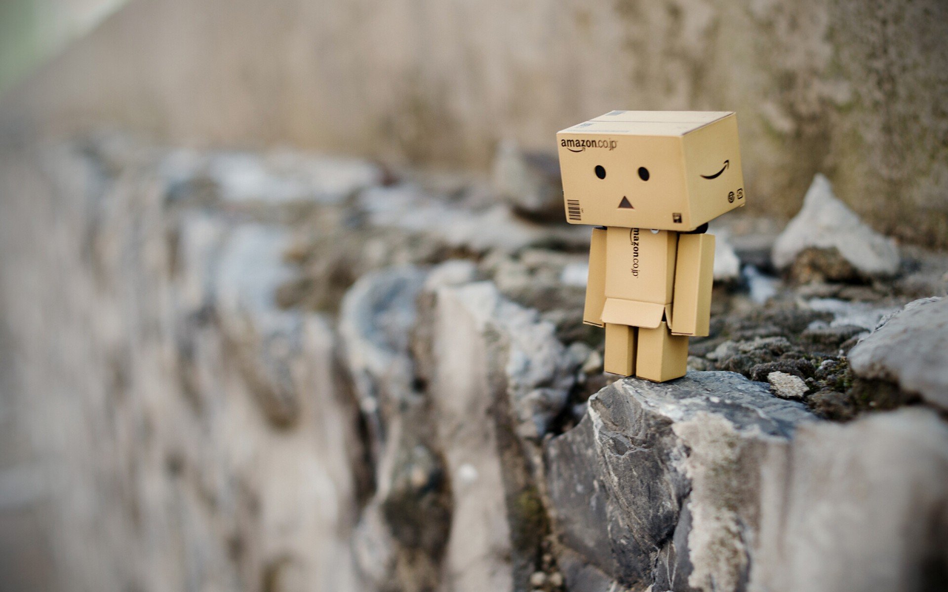 Detail Danbo Wallpaper Nomer 11