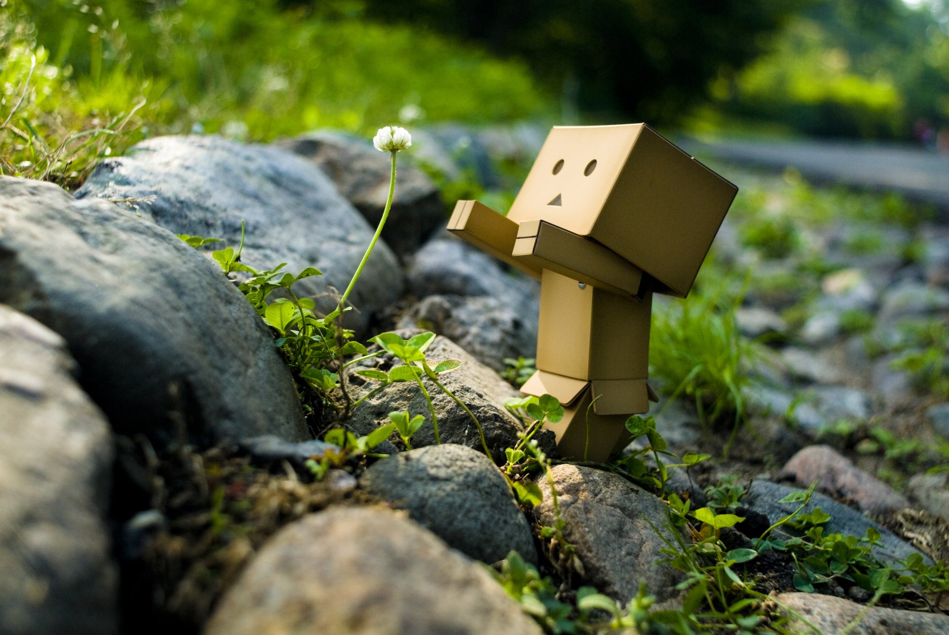 Detail Danbo Wallpaper Hd Nomer 22