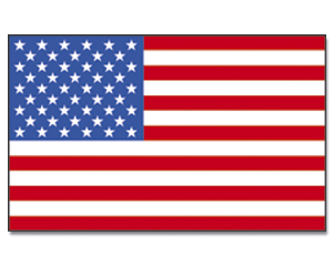 Detail Flagge Der Usa Nomer 3
