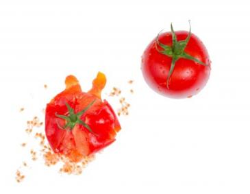 Detail Italienische Vorspeise Tomaten Mozzarella Nomer 2