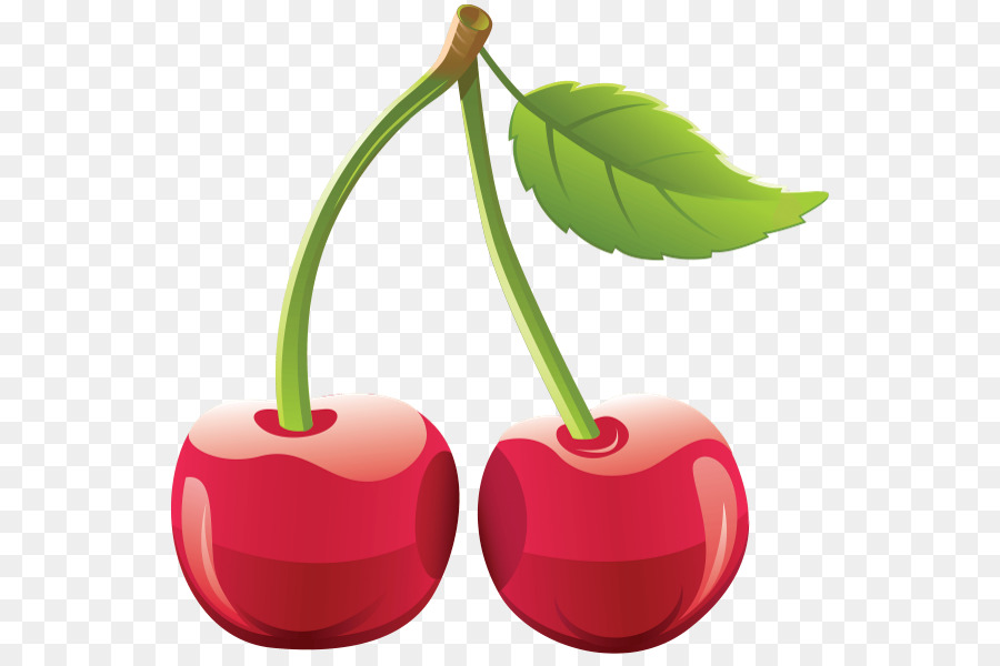 Detail Sour Cherry Png Nomer 10