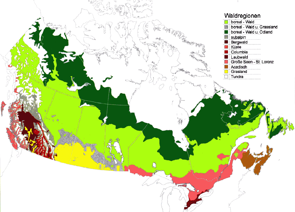 Detail Tundra In Kanada Nomer 10