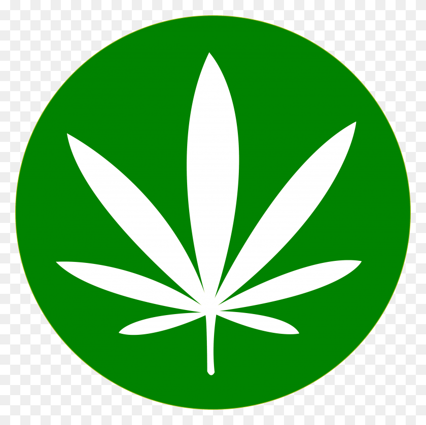 Detail Weed Bilder Nomer 6
